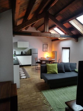 IL VICOLO_Carinissimo appartamento in centro storico, zona giorno mansardata Belluno